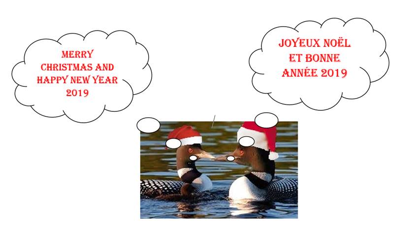 Merry Christmas and Happy New Year 2019 / Joyeux Noël et bonne année 2019